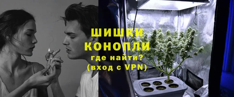 продажа наркотиков  Кузнецк  Шишки марихуана THC 21% 